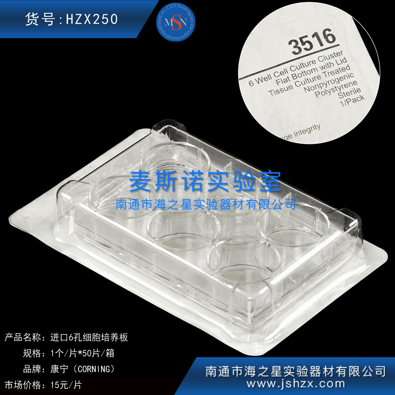HZX250康宁6孔细胞培养板康宁细胞培养板3516